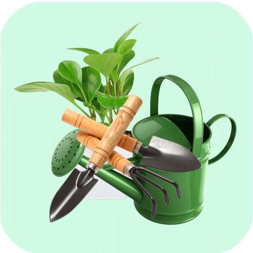 Gardening Items