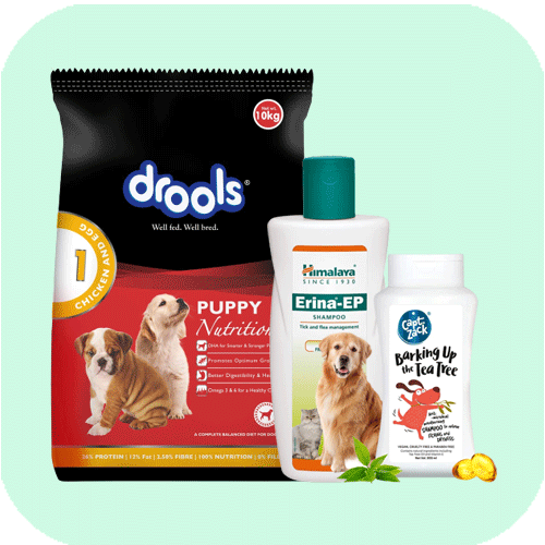 Pet Care